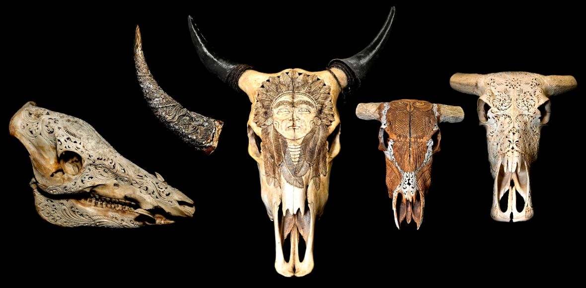 Taxidermy
