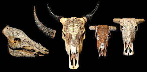 Taxidermy