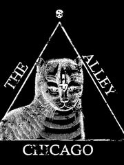Load image into Gallery viewer, Magical Cat Triangle Tshirt