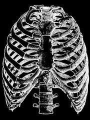 Load image into Gallery viewer, Classic Mens Leather Jacket with Bones Liner
