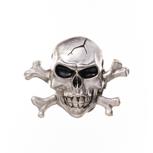Skull & Crossbones Belt Buckle