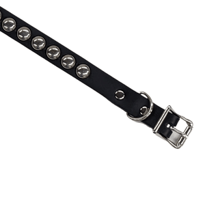 Black Leather 3/4" Choker with 1/2" Round Studs closeup